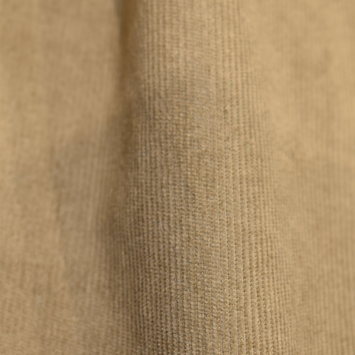 Pantalone beige in velluto a coste con pinces texture- Valensia Moda